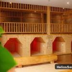 Dự Án Tổ Hợp Xông Hơi Jjimjilbang Hàn Quốc New Phương Anh Spa (Hưng Yên) | Helios Sauna